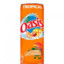 oasis tropicale 2.0