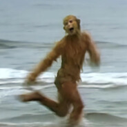 满山猴子我腚最红