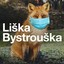 Liška Bystrouška