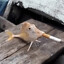 долги 3кк
