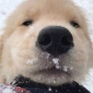 别追我了你放了我我也打不过你