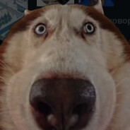 miki - steam id 76561198171223243
