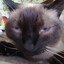 ôiiàiôiiiiâôi's avatar