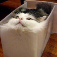 神枪手四连王艳兵