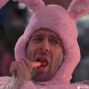 爱吃胡萝卜的哈士奇