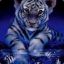 BlueTigress120