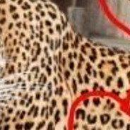 23232Т - steam id 76561199568005169