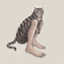 catsquatch