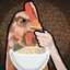 HenRamen