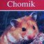 Chomik