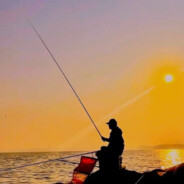 你的耳环是我的书签