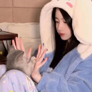 青青草原突击手懒洋洋