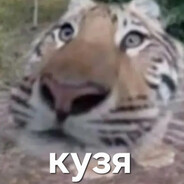 насрал в гамаши