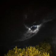 MRP44 - steam id 76561199634773968