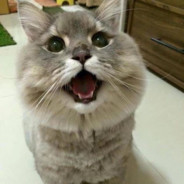 女人真烦吴佳佳