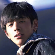 折得疏梅香满袖