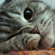 只属于我のMonaLisa