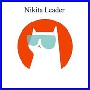 ︻デ    Nikita Leader