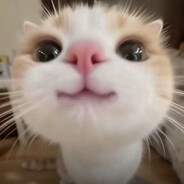 tum