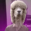 Juan Alpaca