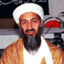 Bin Laden