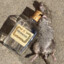 Drunk Rat