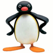 NOOT NOOT