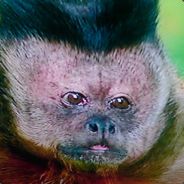 [BoGeY] Timwell - steam id 76561197960489184