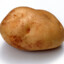 Potato