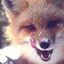 #FoX