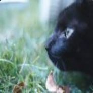 eido - steam id 76561197960616121