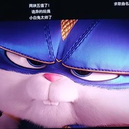 别问问就是菜鸡