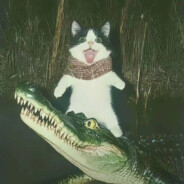 黑旋风芭比李逵