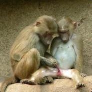 what  are U  waiting for?