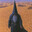 Blackswarots