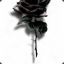 Black Rose™