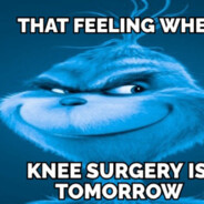 Grinch(original) BUYING SKIN