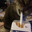 crungle