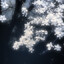 solaristic