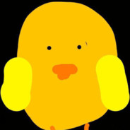 Ducki
