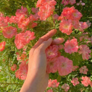 山水已尽应相逢