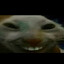 Falc