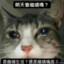 迷路的贾科斯