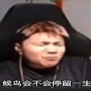 鸭一自由人adnking