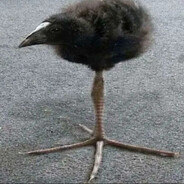 4fd44fdff44f4fdd4fdfdf4