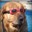 Borking_Dogger
