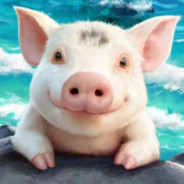 大难不死的胡宝