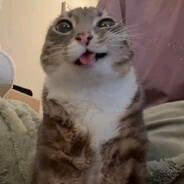 .evm事|миксер