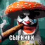 Dortiz_an
