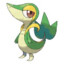 Rex_